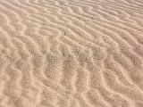 Great Sand Dunes 026